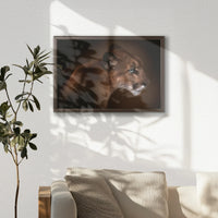 LWN060W040