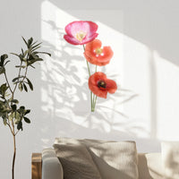 PO-050W075