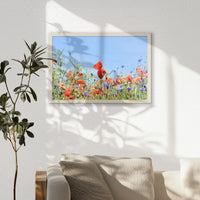 PN-060W040