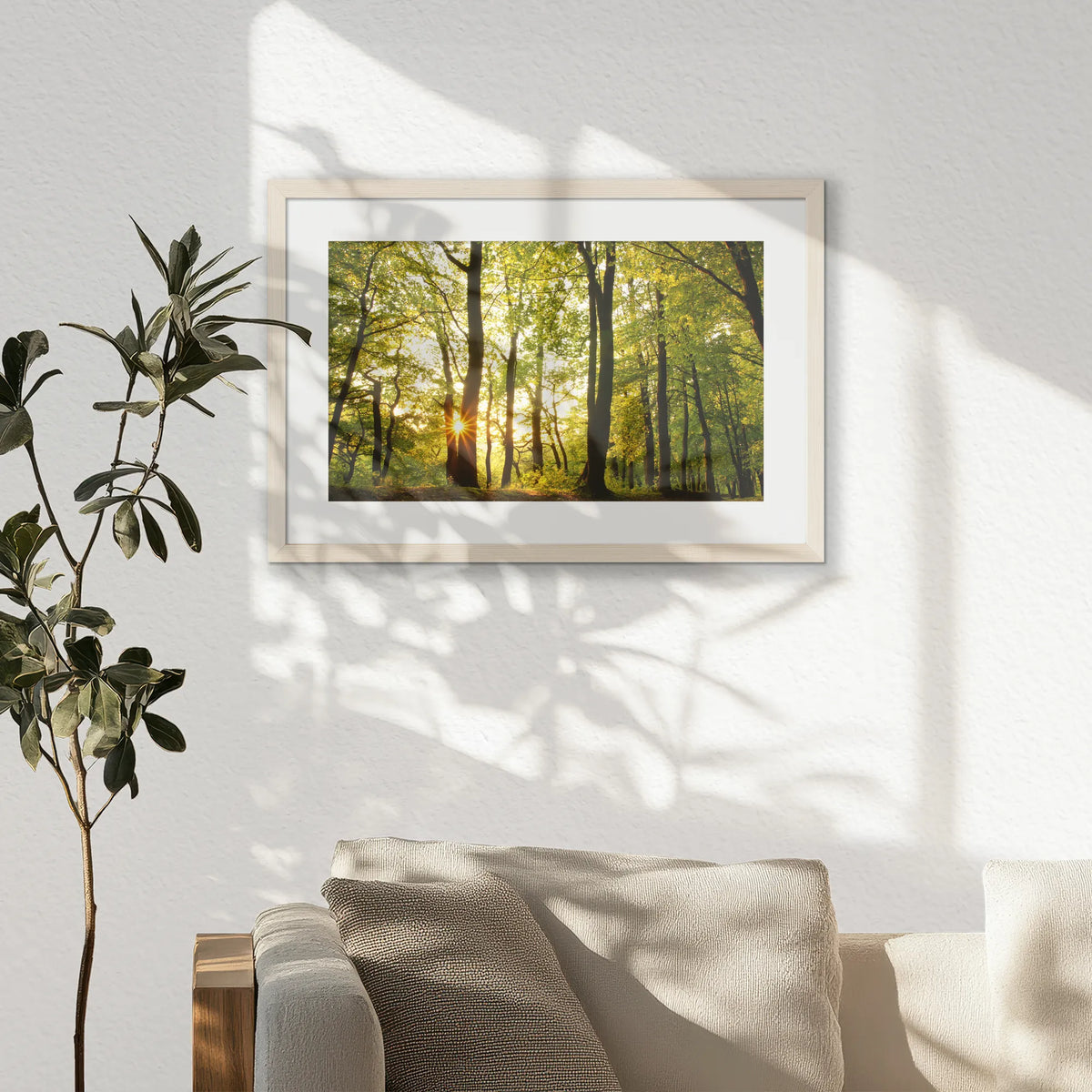 PNP060W040