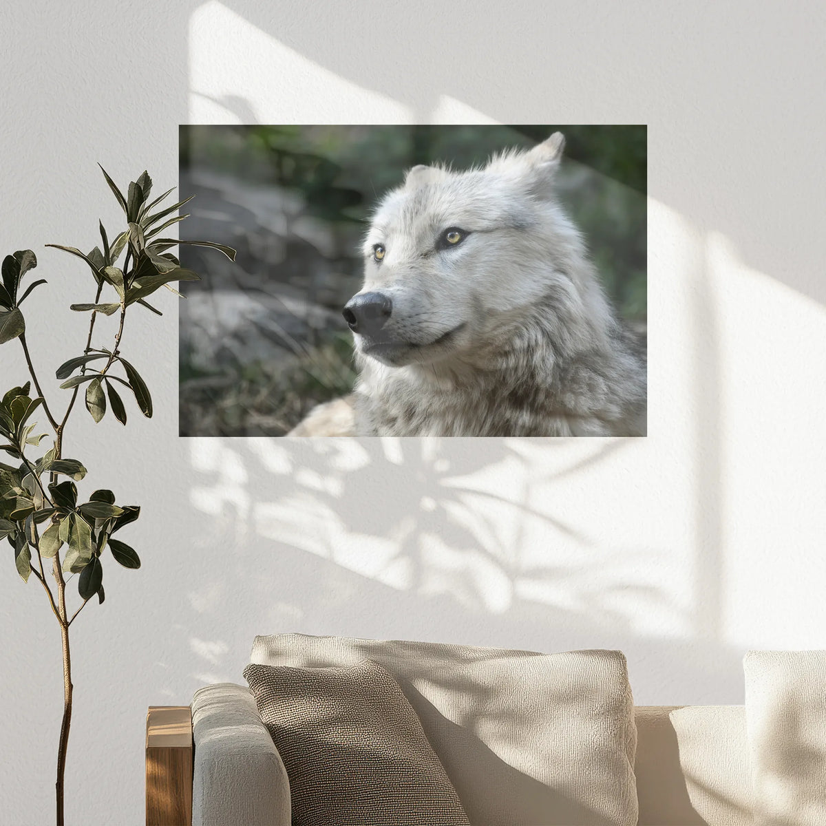 PO-075W050