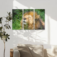 AC-090R060