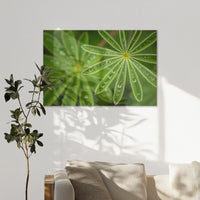 AL-120W080