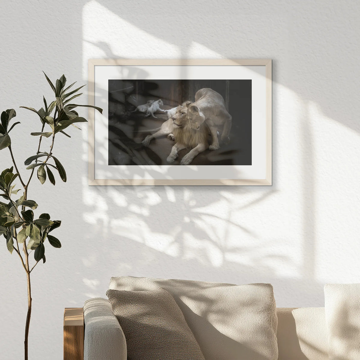 PNP060W040