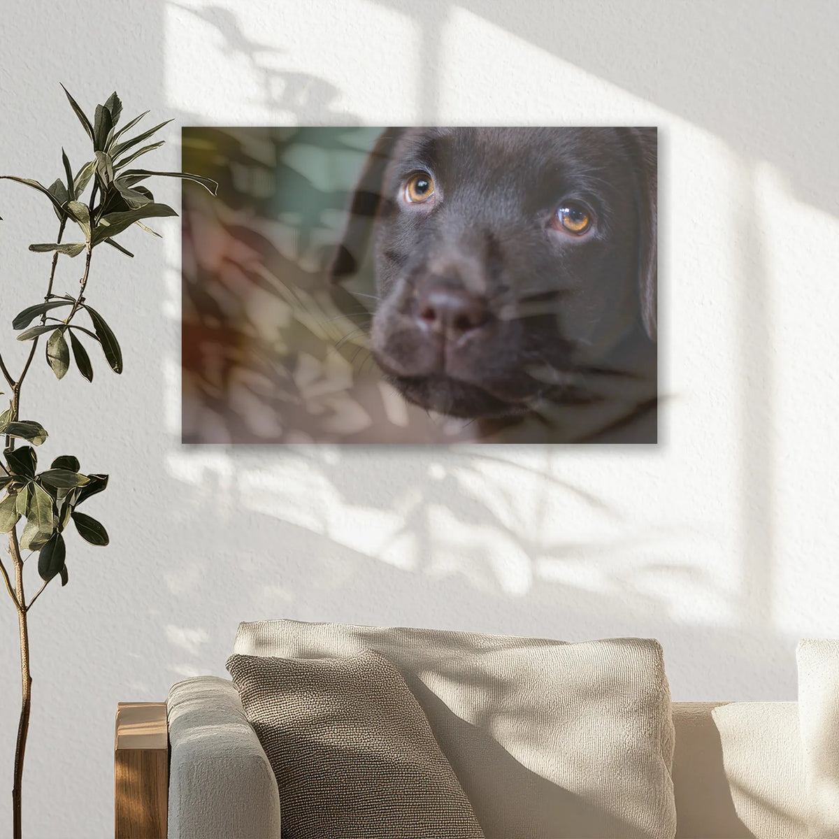 AC-030W020