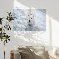 PO-090W060